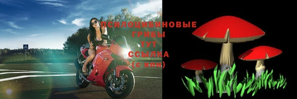 индика Абдулино