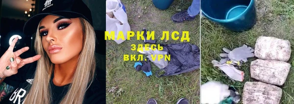 индика Абдулино