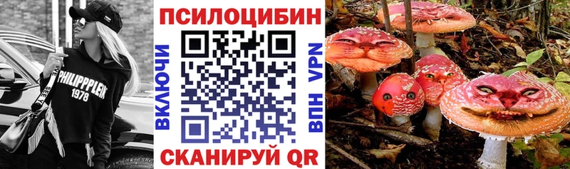 где можно купить наркотик  Почеп  mega tor  Псилоцибиновые грибы Magic Shrooms 